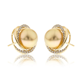 Gorgia 14K Yellow Gold Natural South Sea Pearl Earrings